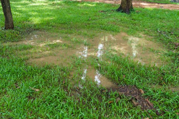 Storm Water Drainage Service in Golden
