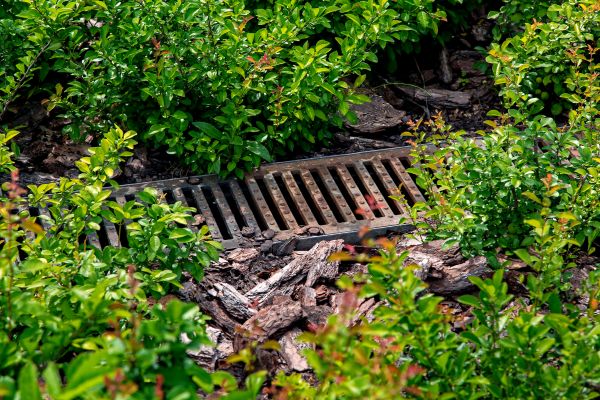 Underground Drainage Service in Golden