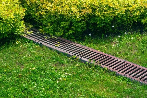 Lawn Drainage in Golden