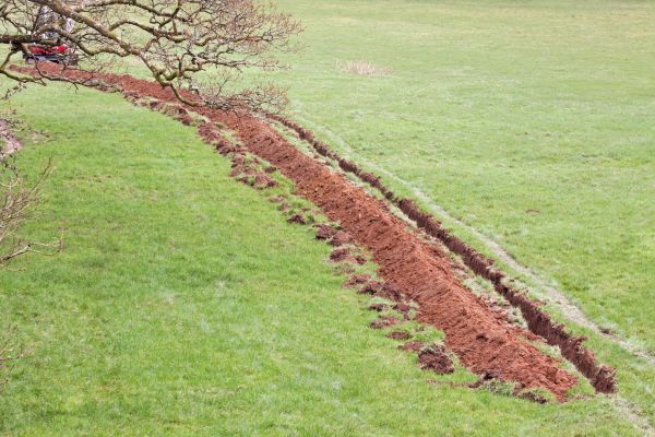 Cost of Swale Installation in Golden