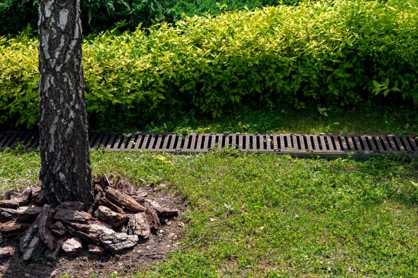 Garden Drainage Installation in Golden