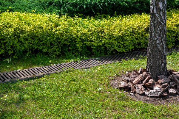 Residential Landscape Drainage in Golden