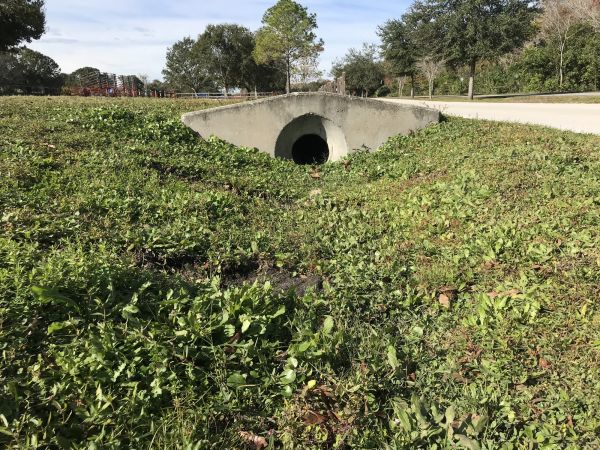 Cost of Swale Drainage Service in Golden